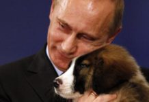 Президентская награда Владимир Путин //Фото telegraph.co.uk