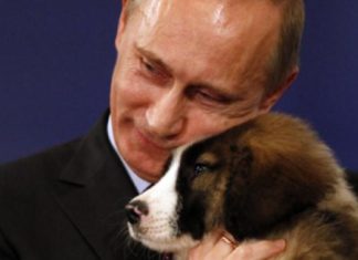 Президентская награда Владимир Путин //Фото telegraph.co.uk