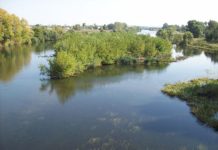 В Ростовской области расчистка Дона обойдется в 1,7 млрд руб