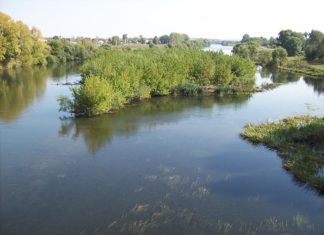 Запас воды в Дону упал вдвое ниже нормы Река Дон // фото с сайта boombob.ru