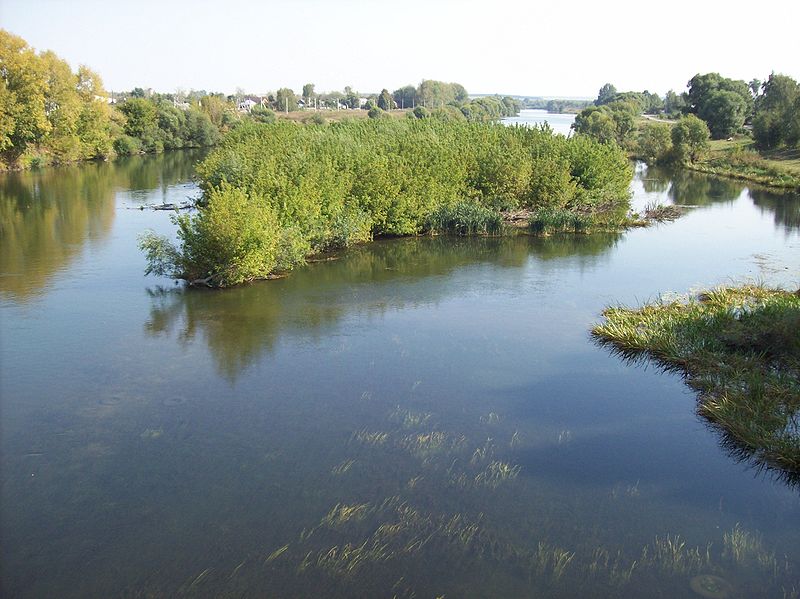 В Ростовской области начали углублять дно реки Дон