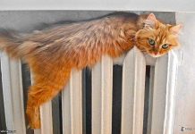 Отопительный сезон в Ростове завершится на этой неделе