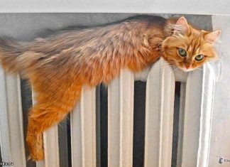 В Ростове четыре дома остались без отопления из-за аварий на теплосетях