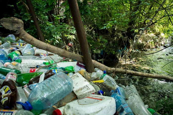 Из городских лесов Ростова вывезли 70 тонн мусора