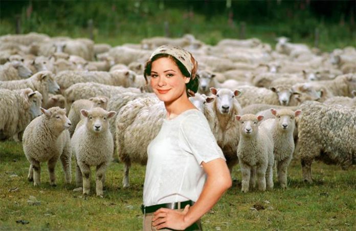 Маша и овцы //Коллаж: 