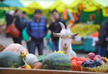 В Ростове 26 мая пройдет продовольственная ярмарка