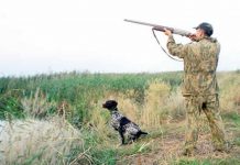 Губернатор Ростовской области в Верховном суде выиграл дело об охотничьих участках