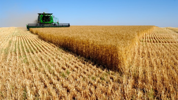 В Ростовской области собрали более 8,3 млн тонн зерновых