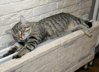 Отопление в Ростова включат с 15 октября