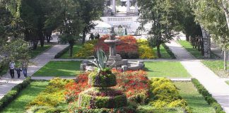 В ростовском парке Горького сделают новую клумбу с 3D-фигурами