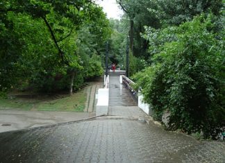 К Чемпионату мира в Ростове облагородят парки