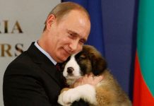 Рейтинг Путина вырос почти до 90%