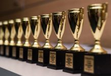 Два проекта Ростовской области отмечены премией «Russian Event Awards»
