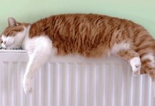 В Новочеркасске 46 многоквартирных домов остались без отопления