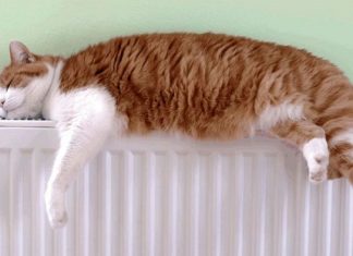 В Новочеркасске 46 многоквартирных домов остались без отопления