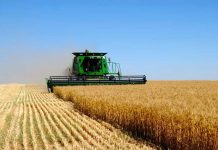 В Ростовской области реализуются проекты в сфере АПК на 160 млн рублей