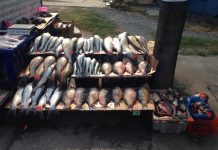 В Ростовской области ветинспекторы за неделю задержали 22 партии продуктов без документов