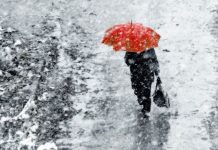 ГИБДД Ростовской области призывает водителей быть внимательными на дорогах