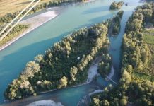 Сдачу реконструкции Зеленого острова продлили до 20 ноября