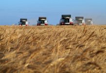 Производство агронавигаторов в Ростовской области расширит ассортимент