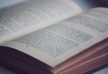 Ростов-на-Дону вошел в десятку самых читающих регионов страны