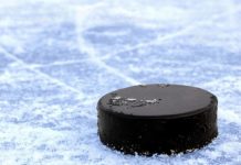 В Ростове пройдет Всероссийский день зимних видов спорта