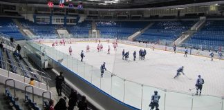 В Ростове собираются построить Ледовый дворец