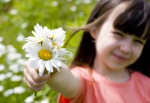 Ми-ми-ми 2015 года