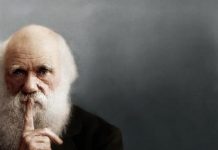 «Коммунисты России» требуют сделать день рождения Дарвина нерабочим днем
