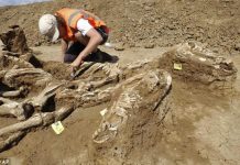 Древний некрополь сползает в Таганрогский залив