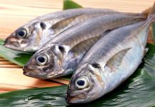 В Ростовской области в полтора раза увеличат производство рыбы