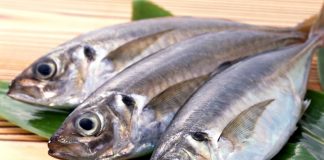 Болельщики ЧМ-2018 увозили из Ростова в качестве презентов квас и рыбу