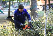 В марте в Ростове стартует «Месячник чистоты»