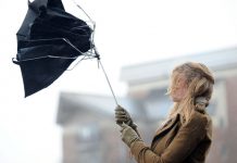 В ближайшие часы по Ростовской области ожидаются ливни с сильным ветром