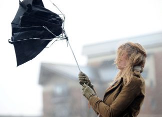 В Ростовской области шквалистый ветер утихнет к 8 марта