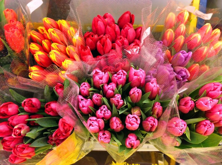 В Ростове-на-Дону средняя цена за букет тюльпанов выросла за год на пять рублей