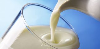Сербия инвестирует 20 млн евро в молокозавод в Ростовской области