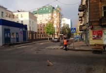 В Ростове возобновили движение по Социалистической после падения дерева