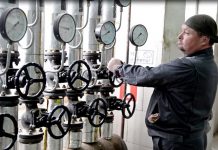 В Ростовской области уничтожили 18 тонн санкционной свинины