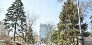 На площади Советов в Ростове демонтировали бордюры