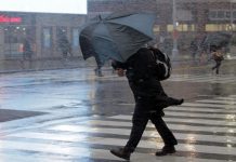 В Ростовской области штормовое предупреждение продлили до 10 декабря