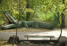 Парк имени Вити Черевичкина включен в перечень «Всероссийская книга почета»