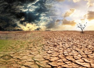 В Ростовской области ввели режим ЧС из-за засухи уже в 28 районах