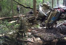 Уроженец Ростовской области погиб в крушении Су-27 в Подмосковье