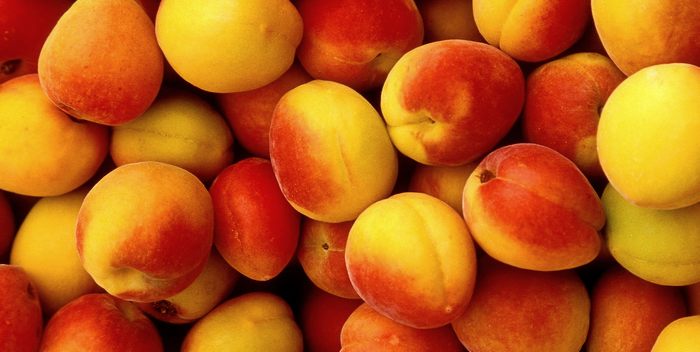 В Ростовской области ожидается неурожай абрикосов, черешни и вишни