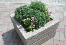 Около 11 тысяч деревьев и кустарников высадят в Ростове в День древонасаждения Клумба с цветами //Фото: rostov-gorod.ru/