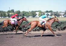 Депутат Бессонов вступился за ростовский ипподром Скачки на Кубок губернатора Ростовской области //Фото: Полина Сидоркова