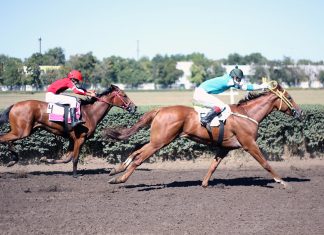 Депутат Бессонов вступился за ростовский ипподром Скачки на Кубок губернатора Ростовской области //Фото: Полина Сидоркова