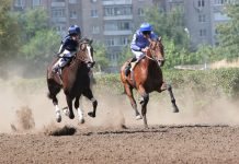 Слюсарь подтвердил застройку ипподрома в Ростове Скачки на ипподроме //фото сайта donland.ru
