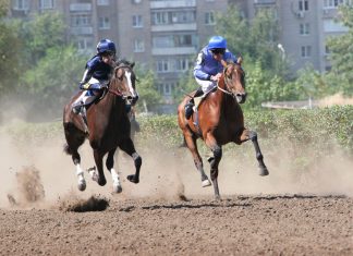 Слюсарь подтвердил застройку ипподрома в Ростове Скачки на ипподроме //фото сайта donland.ru